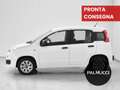 Fiat Panda Panda 1.2 Easy - thumbnail 4