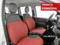 Fiat Panda Panda 1.2 Easy - thumbnail 14