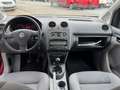 Volkswagen Caddy 1.6 Life Team Behindertengerecht Rampe Rot - thumbnail 7