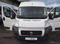 Fiat Ducato 2.3 JTD130 L2H2 KLIMA*ALLWETTER*AHK*INSPEKTION NEU Weiß - thumbnail 23