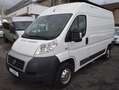 Fiat Ducato 2.3 JTD130 L2H2 KLIMA*ALLWETTER*AHK*INSPEKTION NEU Weiß - thumbnail 1