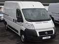 Fiat Ducato 2.3 JTD130 L2H2 KLIMA*ALLWETTER*AHK*INSPEKTION NEU Weiß - thumbnail 9