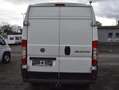 Fiat Ducato 2.3 JTD130 L2H2 KLIMA*ALLWETTER*AHK*INSPEKTION NEU Weiß - thumbnail 5