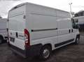 Fiat Ducato 2.3 JTD130 L2H2 KLIMA*ALLWETTER*AHK*INSPEKTION NEU Weiß - thumbnail 4
