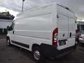 Fiat Ducato 2.3 JTD130 L2H2 KLIMA*ALLWETTER*AHK*INSPEKTION NEU Weiß - thumbnail 6