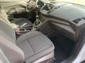 Ford C-Max C-Max 7 III 2015C-Max7 1.5 tdci Plus s Bianco - thumbnail 12