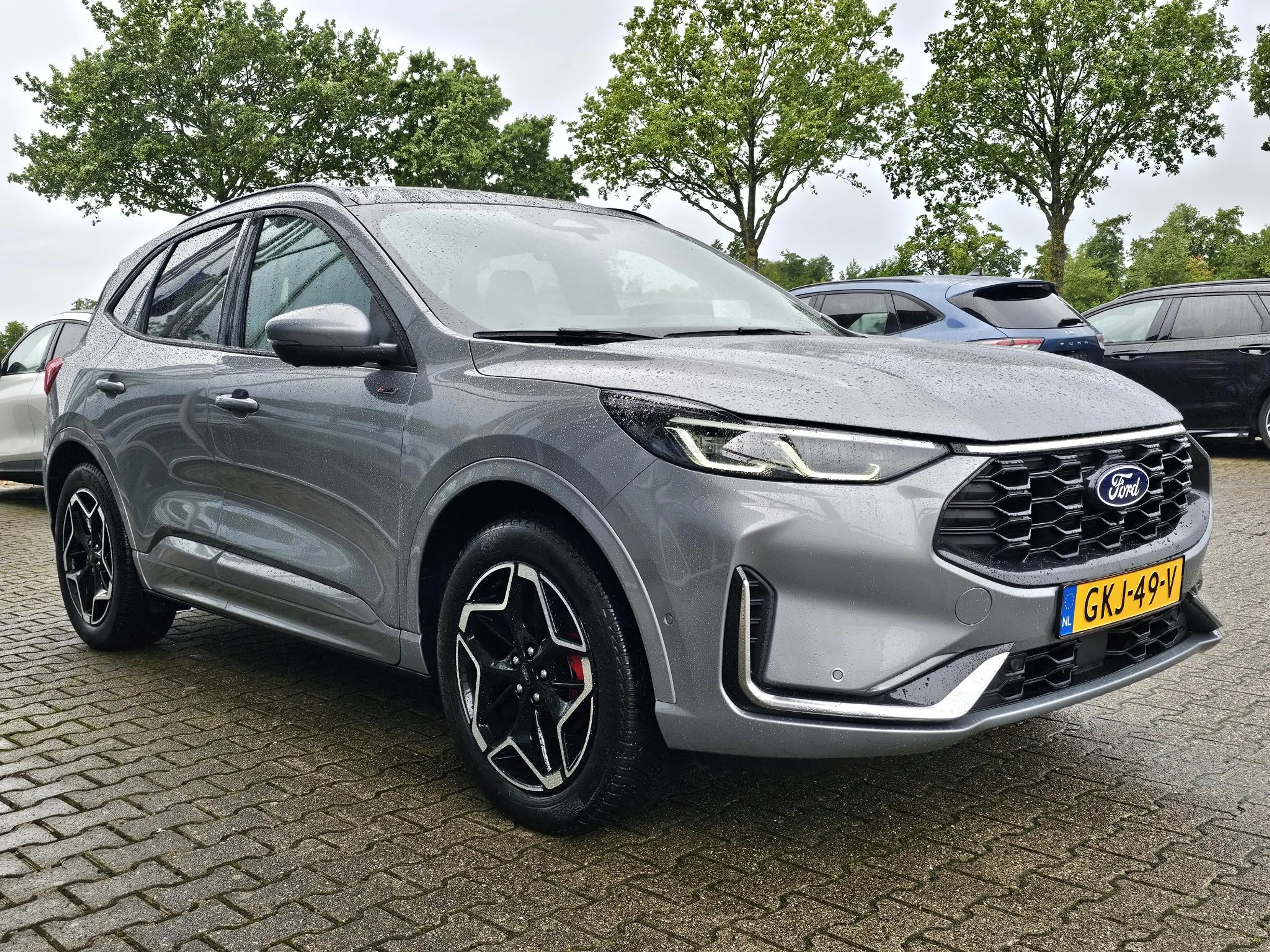 Ford Kuga 2.5 PHEV ST-Line X | Panoramadak | Wegklapbare tre — photo 4