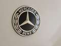 Mercedes-Benz E 300 Estate e AMG Line / Stoelverwarming / 360Graden-Ca Blanc - thumbnail 34