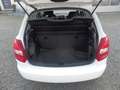 Skoda Fabia Active, Klima White - thumbnail 13