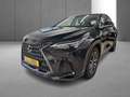 Lexus NX 350h Business Line Awd Noir - thumbnail 19