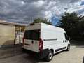 Fiat Ducato 2.3 MJT 180Cv L2 H2 CRUISE CONTROL Blanc - thumbnail 2