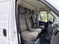 Fiat Ducato 2.3 MJT 180Cv L2 H2 CRUISE CONTROL Blanc - thumbnail 12