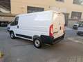 Fiat Ducato 2.3 MJT  PC-TN  Euro 6 d-temp  iva compresa Bianco - thumbnail 3