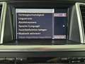 Mercedes-Benz ML 250 4MATIC * SPORT * KAMERA * 19" * ab € 249,- * Schwarz - thumbnail 28