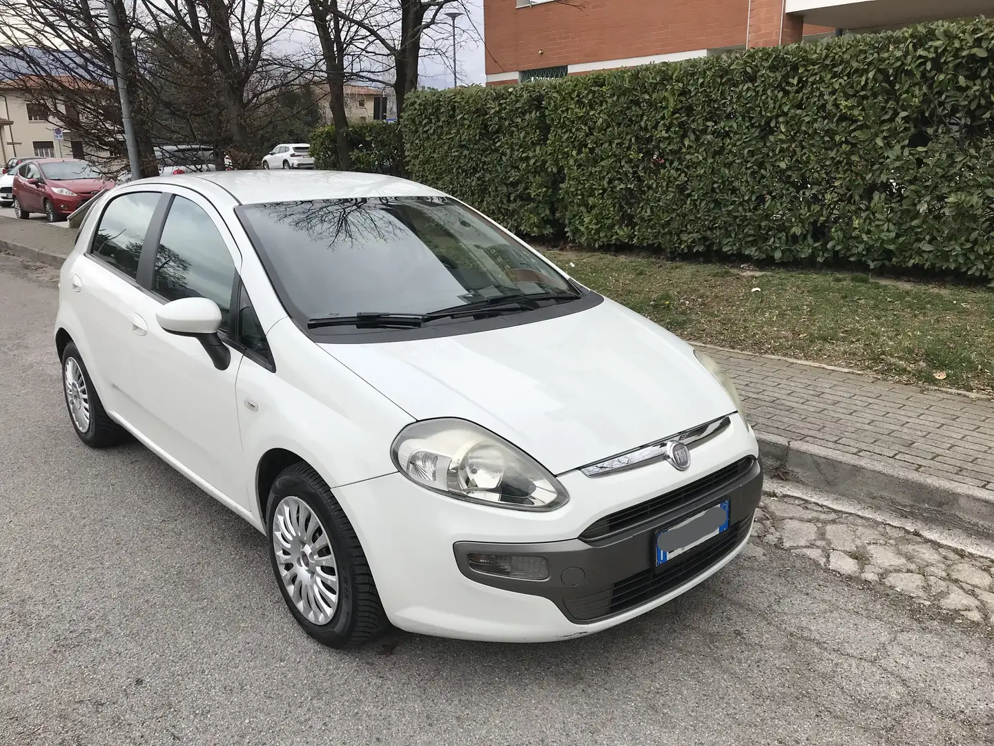 Fiat Punto Evo Punto Evo 5p 1.3 mjt Dynamic s Bianco - 1