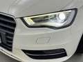 Audi A3 A3 Sportback 1.6 tdi Business 110cv s-tronic E6 Weiß - thumbnail 37