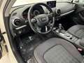 Audi A3 A3 Sportback 1.6 tdi Business 110cv s-tronic E6 Weiß - thumbnail 7