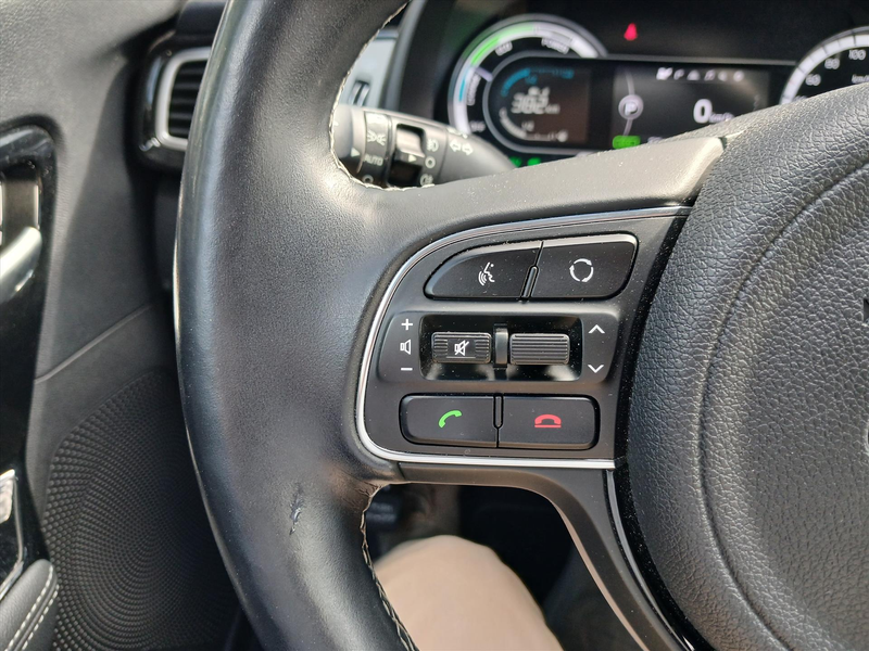 Kia Niro 1.6 Hybrid Design Edition / Trekhaak / Navi / Crui — photo 15