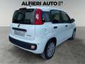 Fiat Panda 1.0 Hybrid S&S 70cv KmZero - Pack City *PREZZO Rood - thumbnail 6