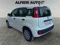 Fiat Panda 1.0 Hybrid S&S 70cv KmZero - Pack City *PREZZO Rood - thumbnail 4