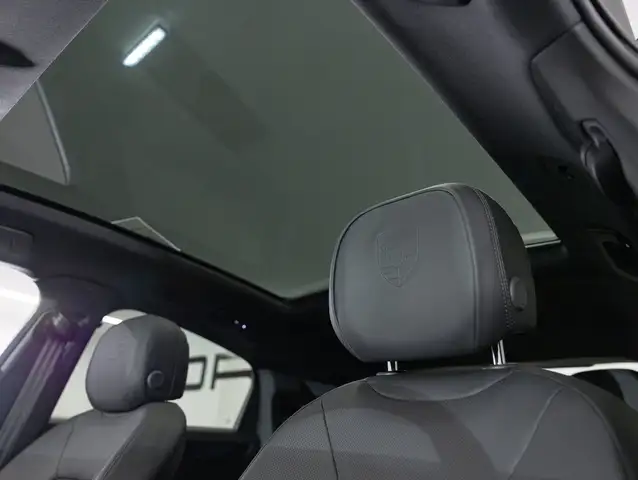 Porsche Cayenne E-Hybrid Coupé Black Edition Ansicht 21