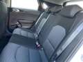 Kia Ceed / cee'd Vision 1.5T DCT7 Kamera Navi ACC Klima DAB+ Weiß - thumbnail 12