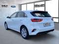 Kia Ceed / cee'd Vision 1.5T DCT7 Kamera Navi ACC Klima DAB+ Weiß - thumbnail 5