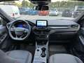 Ford Kuga Kuga III 2020 1.5 ecoblue ST-Line X 2wd 120cv auto Bianco - thumbnail 9