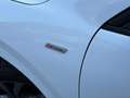 Ford Kuga Kuga III 2020 1.5 ecoblue ST-Line X 2wd 120cv auto Bianco - thumbnail 8