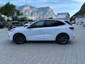Ford Kuga Kuga III 2020 1.5 ecoblue ST-Line X 2wd 120cv auto Bianco - thumbnail 7