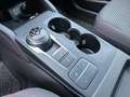Ford Kuga Kuga III 2020 1.5 ecoblue ST-Line X 2wd 120cv auto Bianco - thumbnail 21