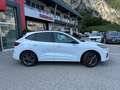 Ford Kuga Kuga III 2020 1.5 ecoblue ST-Line X 2wd 120cv auto Bianco - thumbnail 3