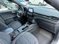 Ford Kuga Kuga III 2020 1.5 ecoblue ST-Line X 2wd 120cv auto Bianco - thumbnail 10