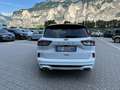 Ford Kuga Kuga III 2020 1.5 ecoblue ST-Line X 2wd 120cv auto Bianco - thumbnail 5