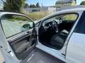 Volkswagen Golf 1.6 TDI 90 CV 5p. Business Trendline BlueMotion Te Білий - thumbnail 4