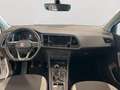 SEAT Ateca 1.0 TSI Reference Bianco - thumbnail 10