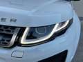 Land Rover Range Rover Evoque 5 Porte 2.0 TD4 SE Business edition Bianco - thumbnail 10
