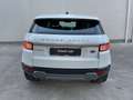 Land Rover Range Rover Evoque 5 Porte 2.0 TD4 SE Business edition Bianco - thumbnail 5