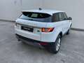 Land Rover Range Rover Evoque 5 Porte 2.0 TD4 SE Business edition Bianco - thumbnail 4