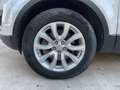 Land Rover Range Rover Evoque 5 Porte 2.0 TD4 SE Business edition Bianco - thumbnail 7