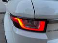 Land Rover Range Rover Evoque 5 Porte 2.0 TD4 SE Business edition Bianco - thumbnail 9