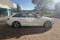 Audi A4 A4 35 TFSI Business Bianco - thumbnail 4
