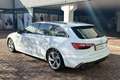 Audi A4 A4 35 TFSI Business Bianco - thumbnail 7