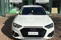 Audi A4 A4 35 TFSI Business Bianco - thumbnail 2