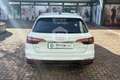 Audi A4 A4 35 TFSI Business Bianco - thumbnail 6