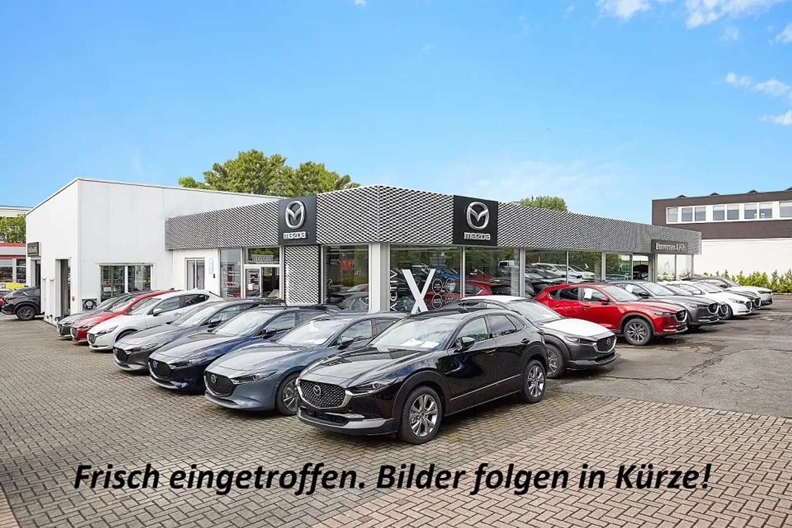 Mazda CX-5 2.0 ADVANTAGE *Klimaautomatik*360°*AHK* Rouge - 1