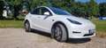 Tesla Model Y Model Y RWD, AHK, 8-fach bereift, BYD-Akku Weiß - thumbnail 1