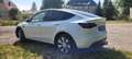 Tesla Model Y Model Y RWD, AHK, 8-fach bereift, BYD-Akku Weiß - thumbnail 2