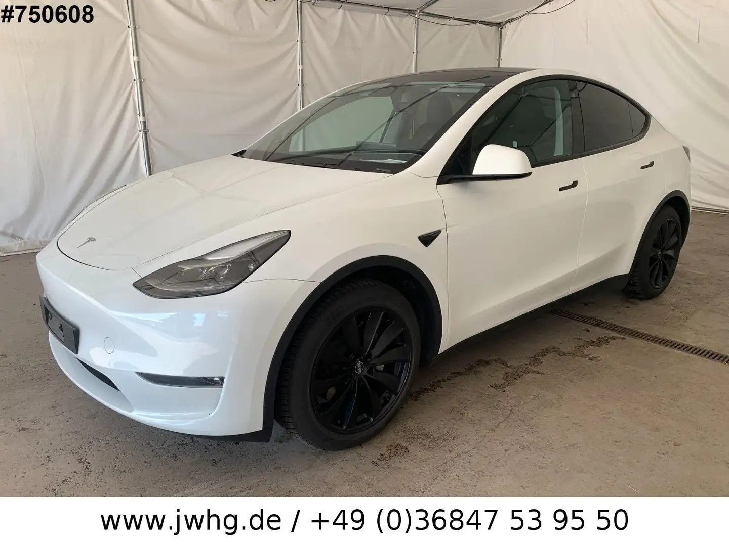 Tesla Model Y Long Range AWD 75 kWh Wärmep Autopilot-3 Weiß - 1