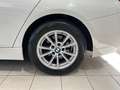 BMW 318 d Touring Business auto Bianco - thumbnail 10